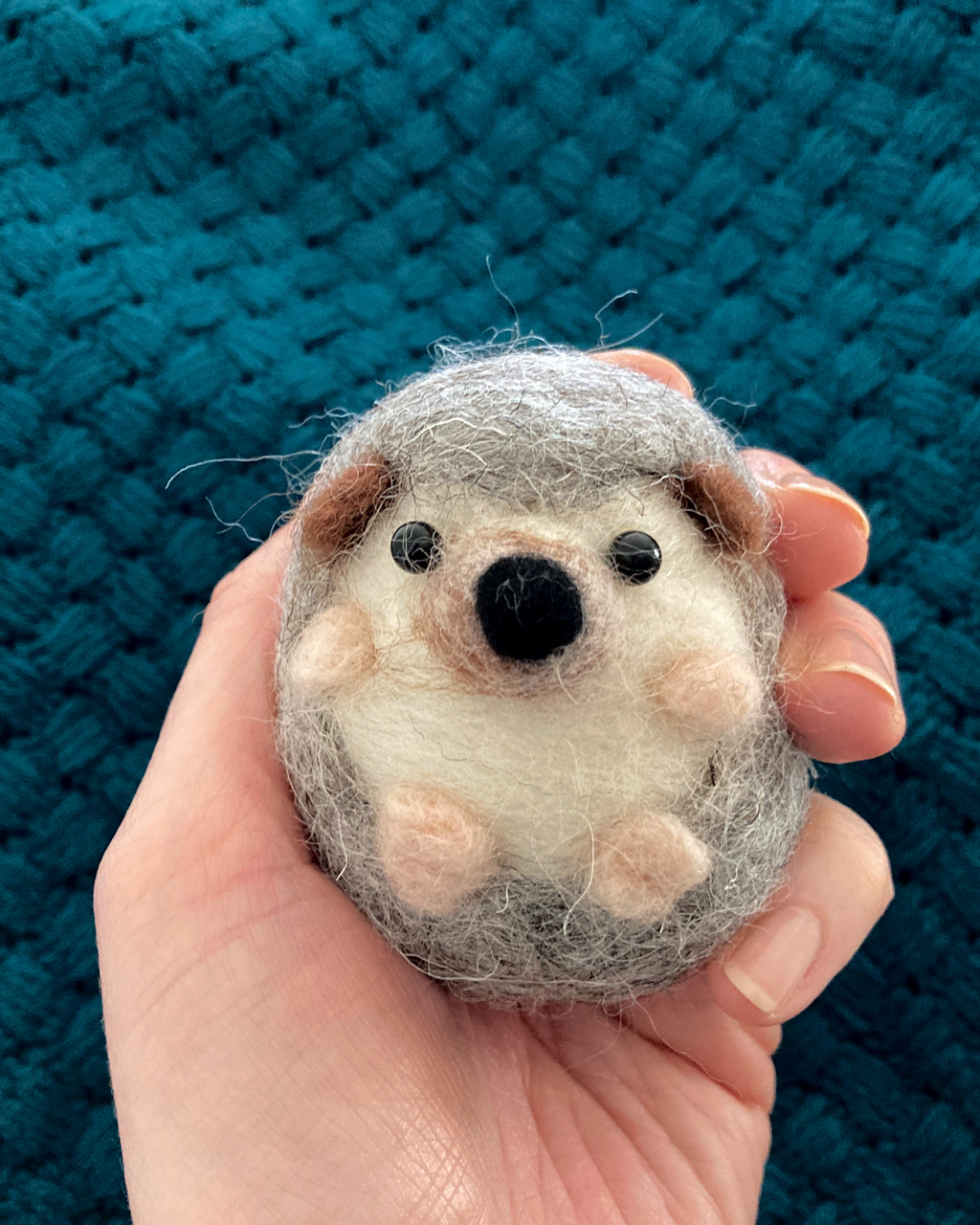 Needle felted hedgehog kit