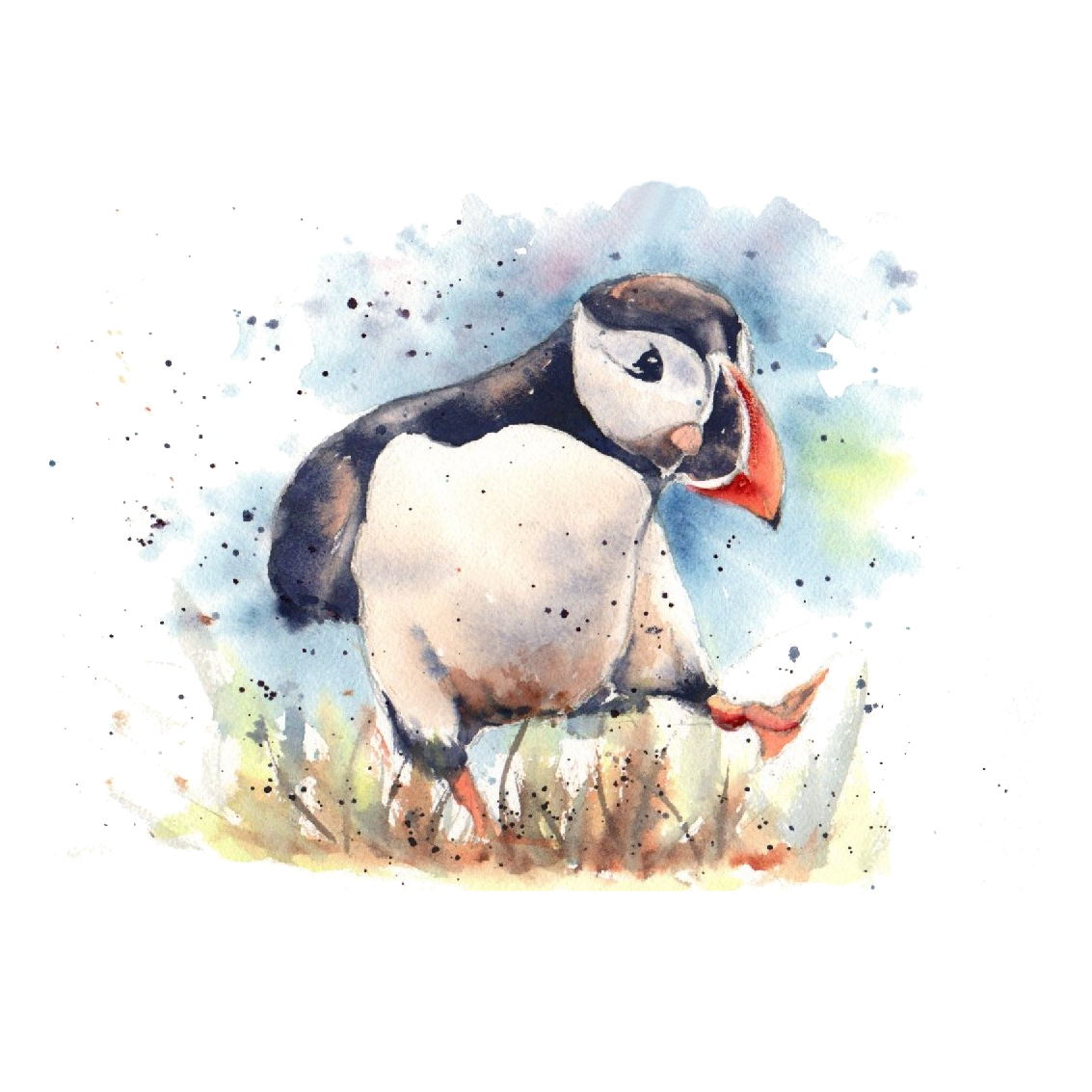 Norrie the Puffin