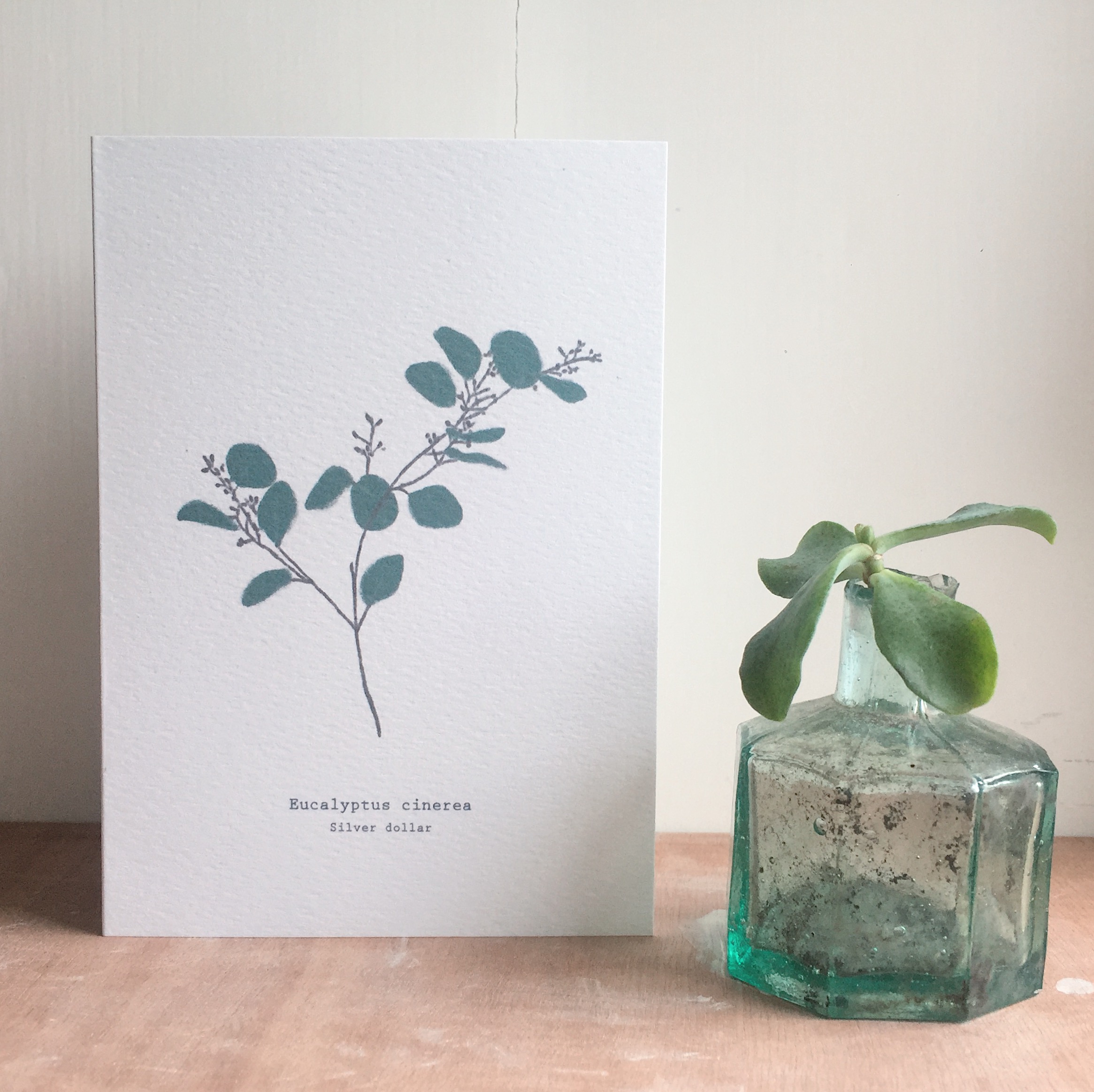 Eucalyptus Card