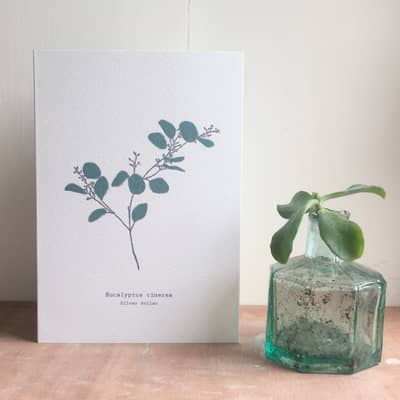 Eucalyptus Card