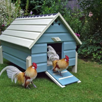 Oakdene Coops, where it all began