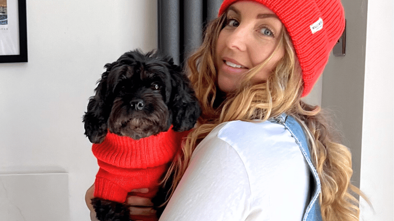 luxury dog jumper and lambswool headband