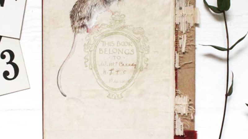 Dormouse on antique book cover