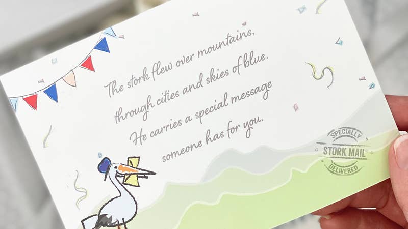 delivered by stork mail Poem