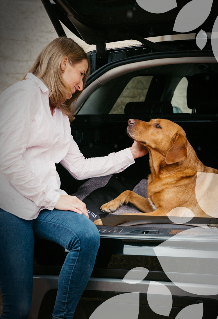 Taylor & Tails Founder