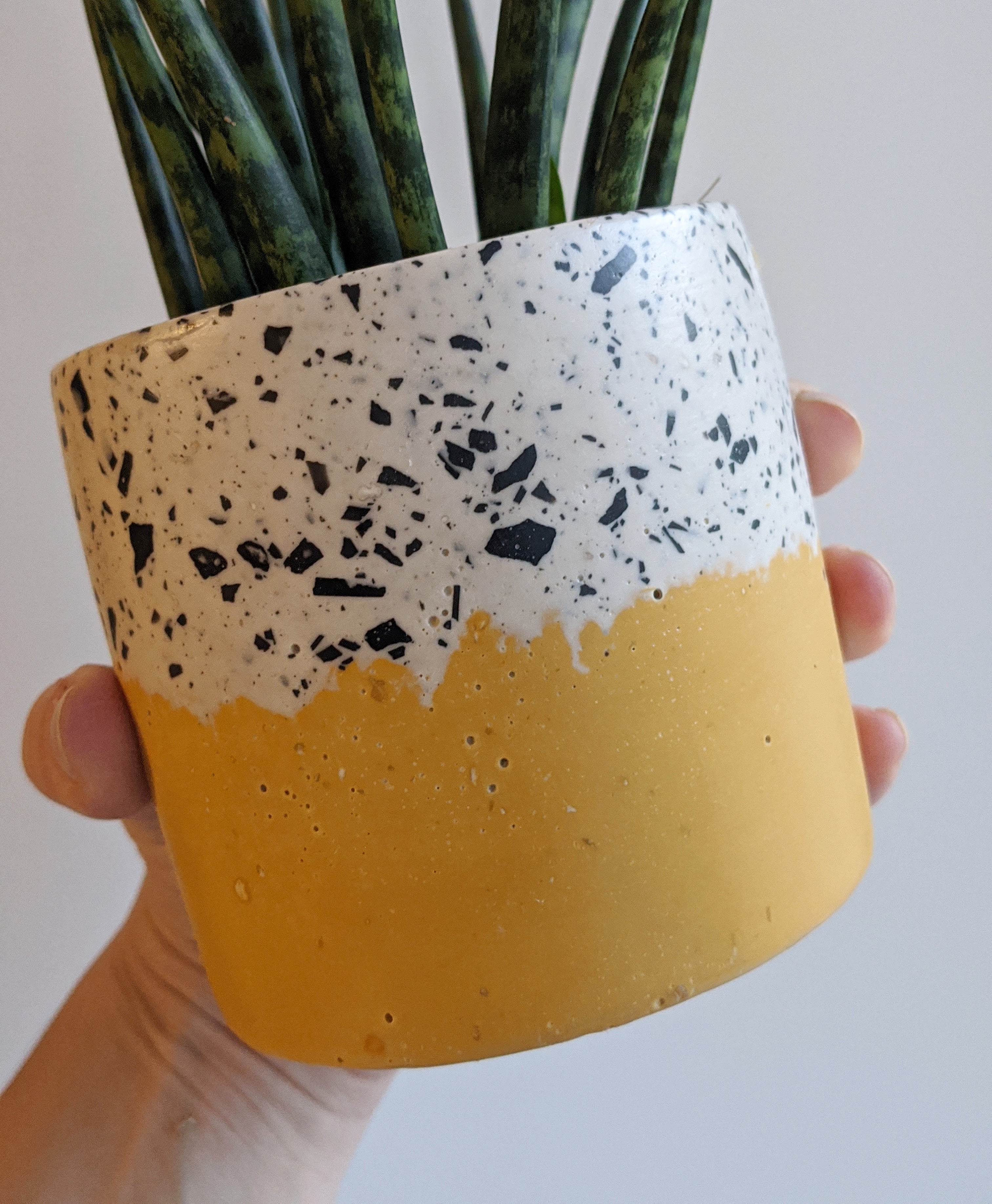 Our most popular pot