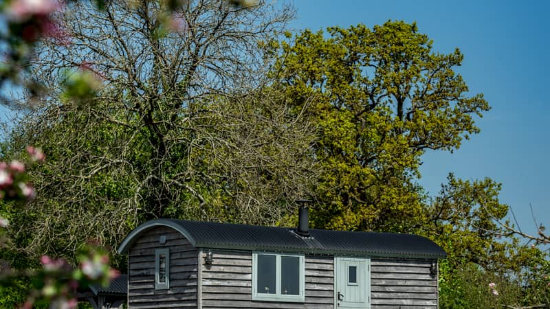 Dimpsey Hither Shepherd Hut with woodfired hottub