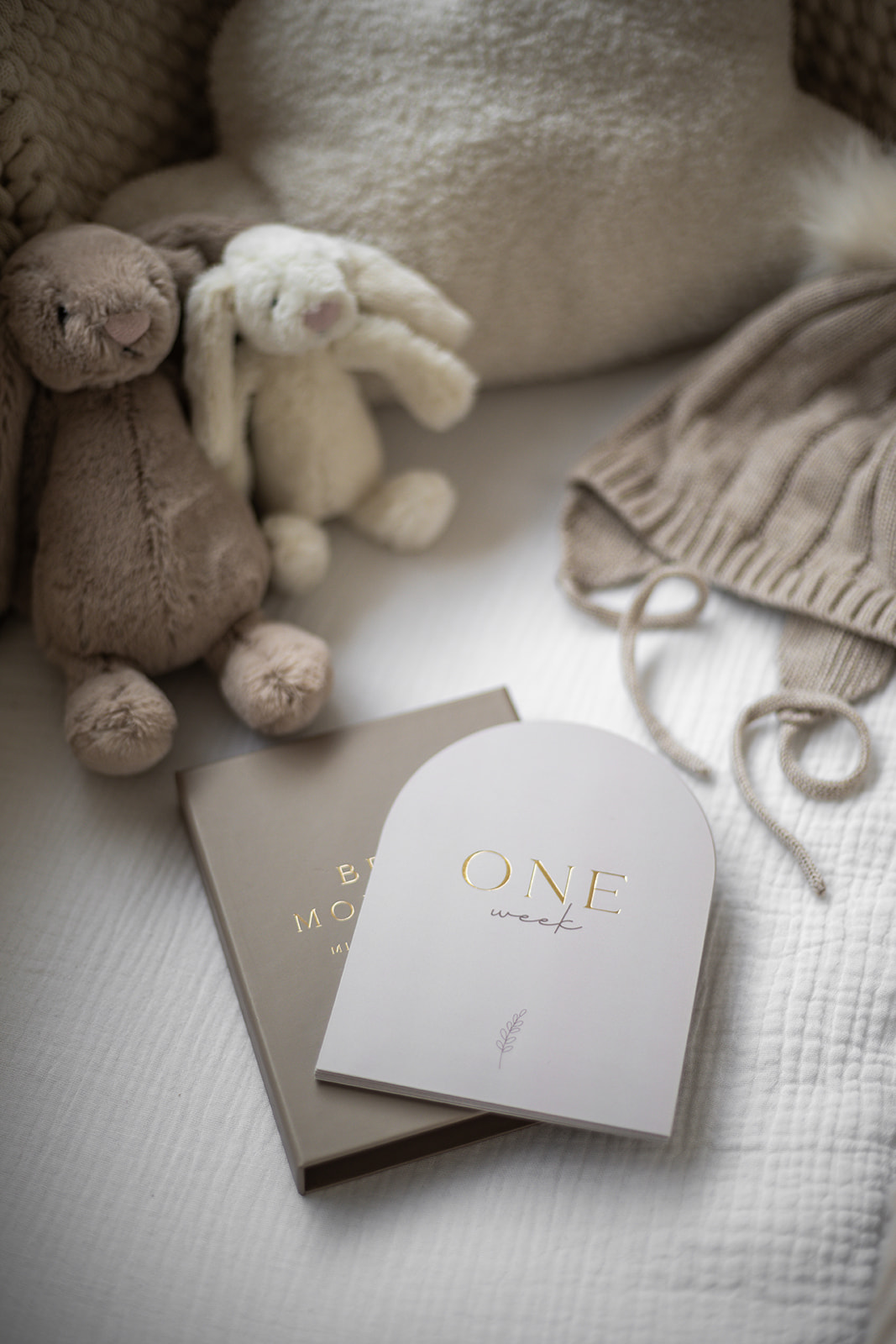 Neutral Baby Milestone Cards