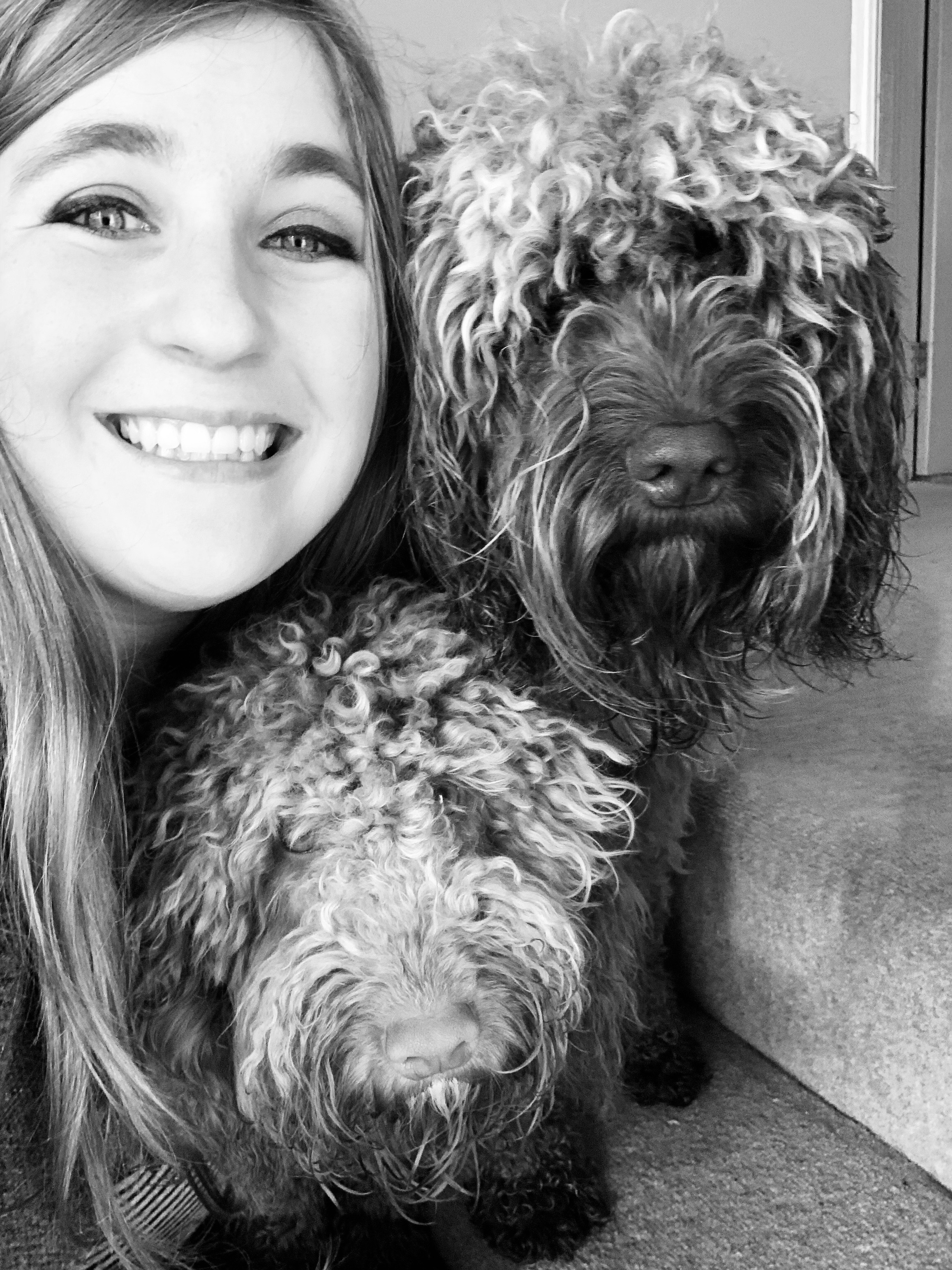girl and two cockapoo dogs