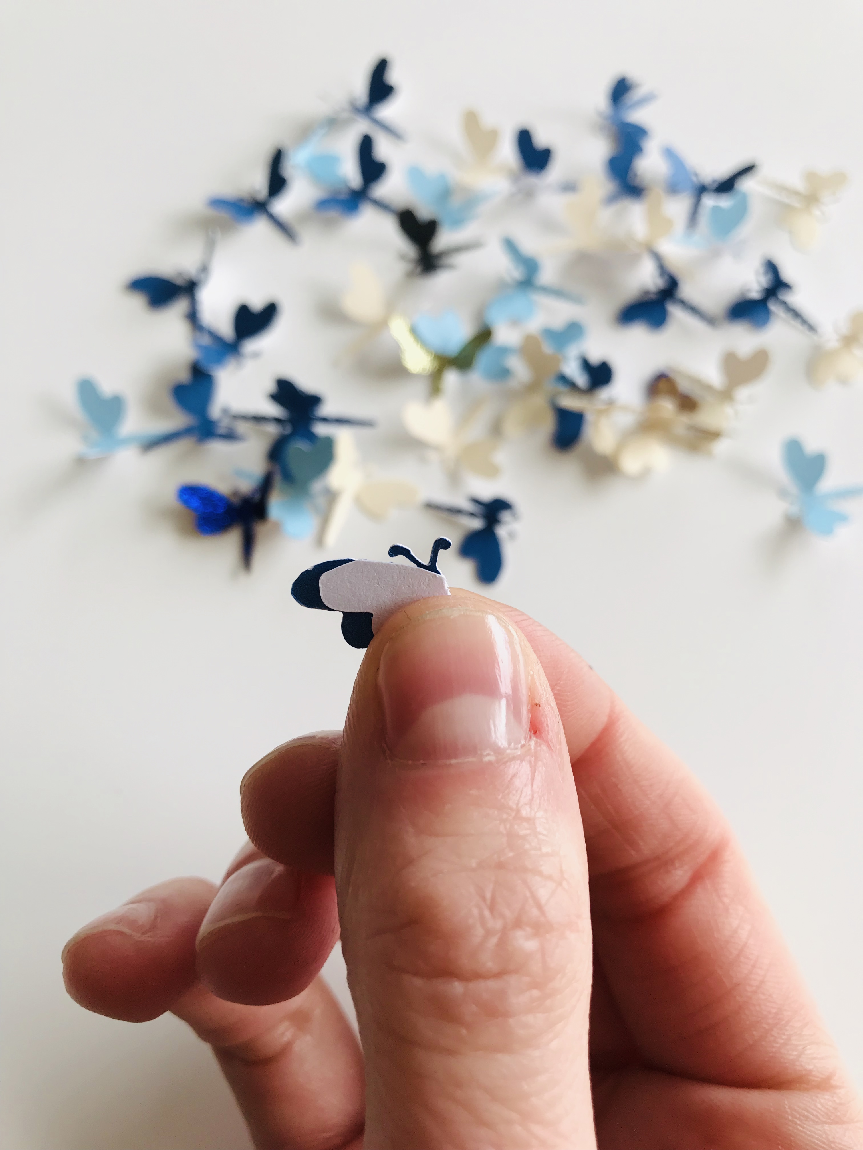 Erika folding the dragonfly wings by hand