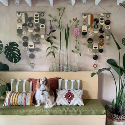 Luna the dog behind the name