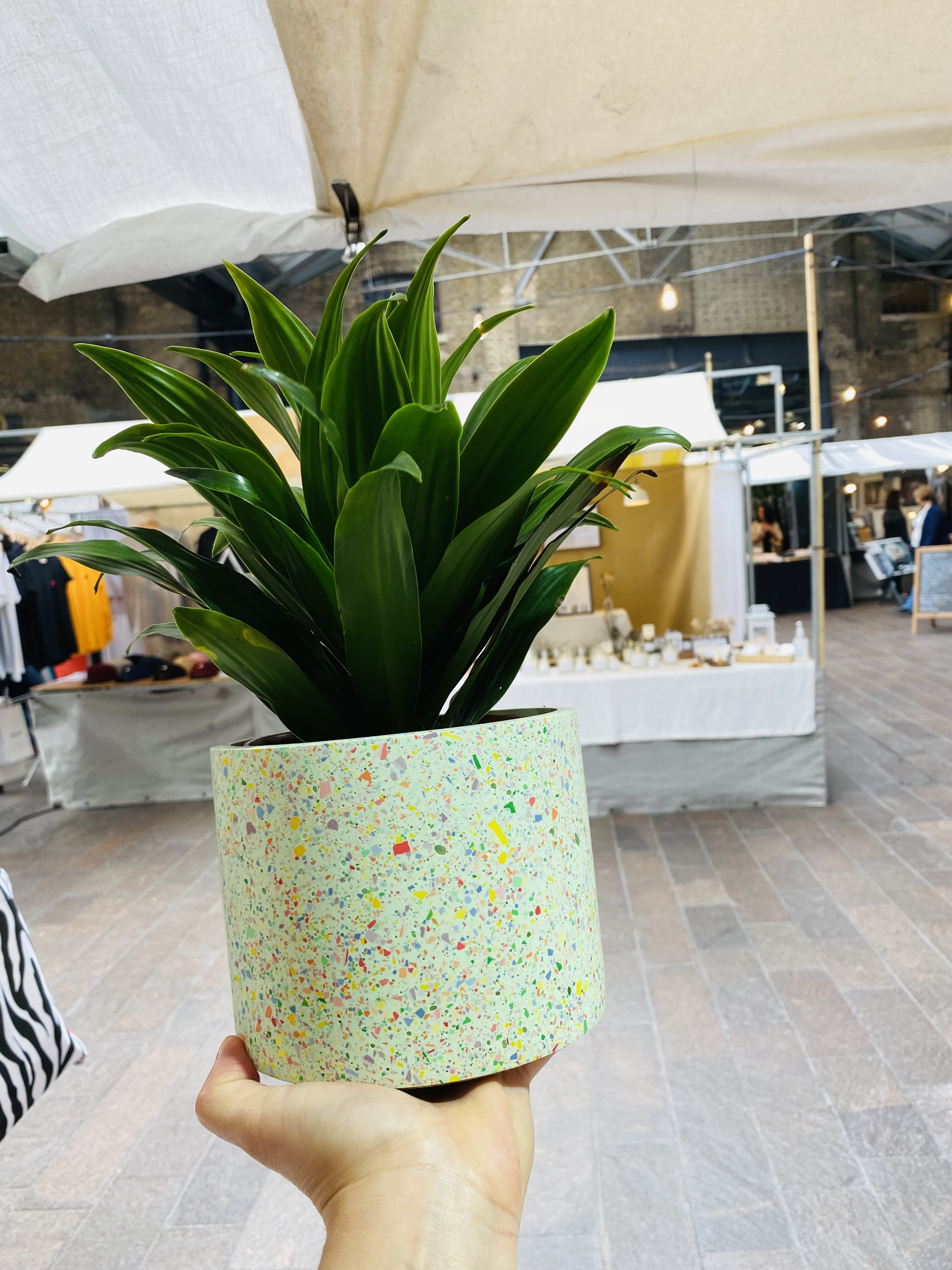 Handmade mint green plant pot