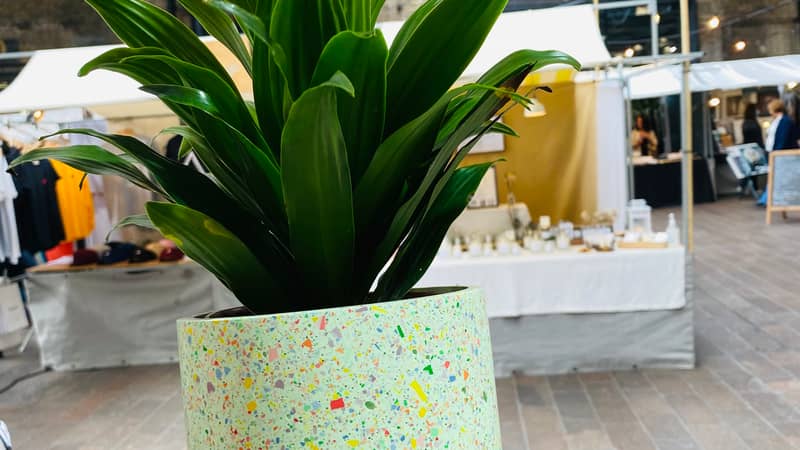 Handmade mint green plant pot