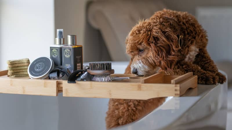 Luxury Prebiotic Grooming