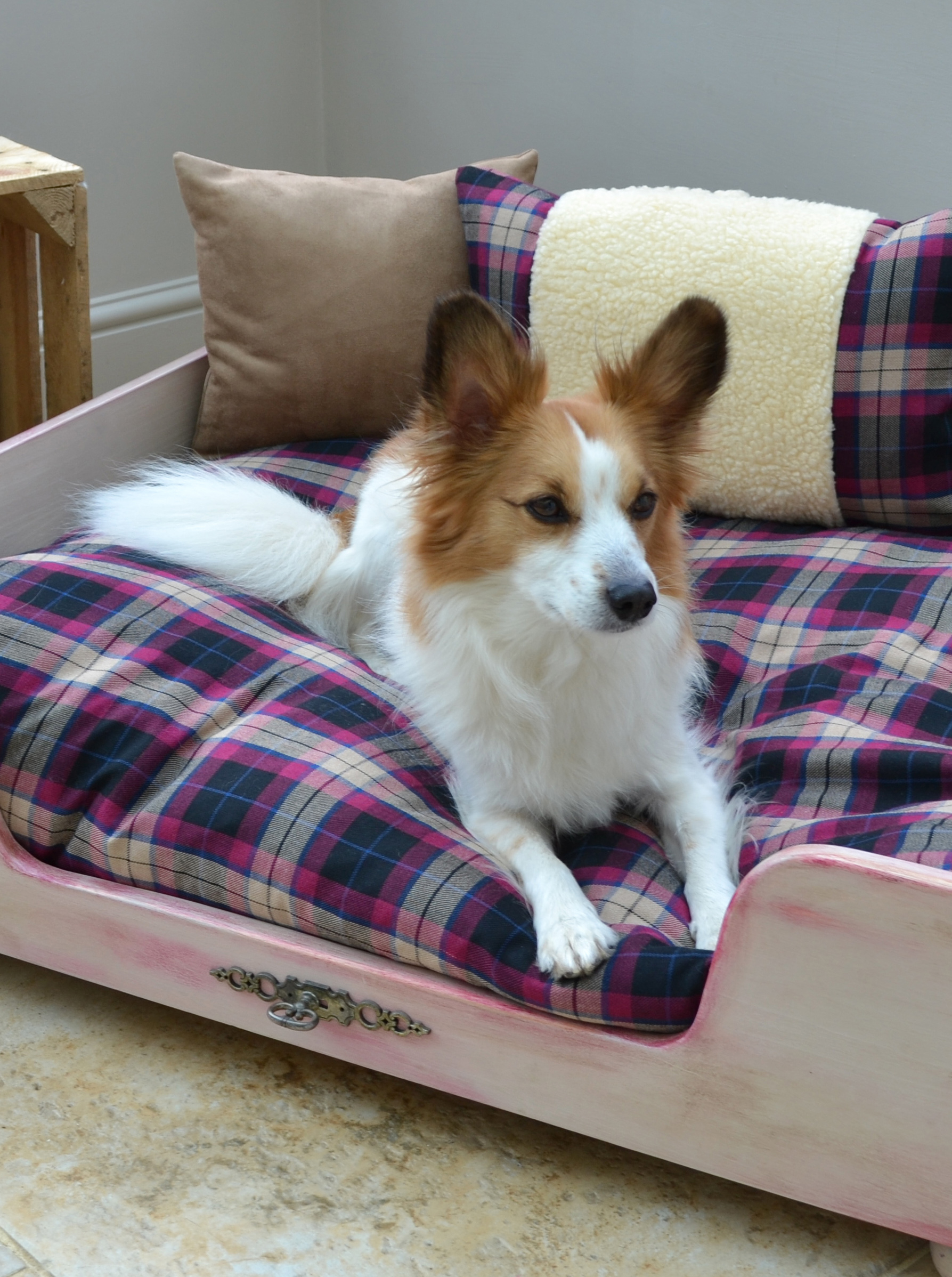 papillion dog chinese crested Dog bed Lying Down Dog