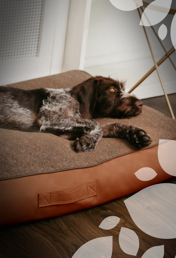 TAYLOR & TAILS JUDY DOG BED