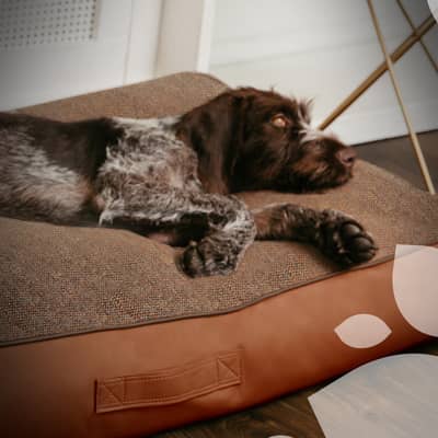 TAYLOR & TAILS JUDY DOG BED