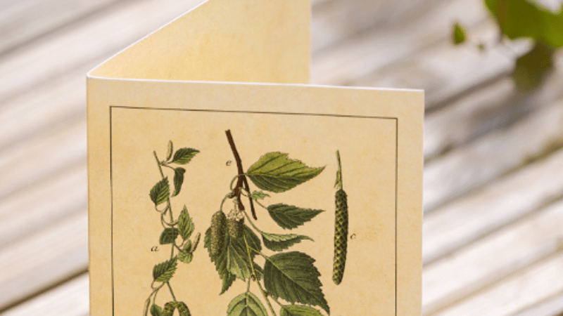 Alba Trees Gift Card