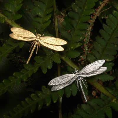 Dragonflies