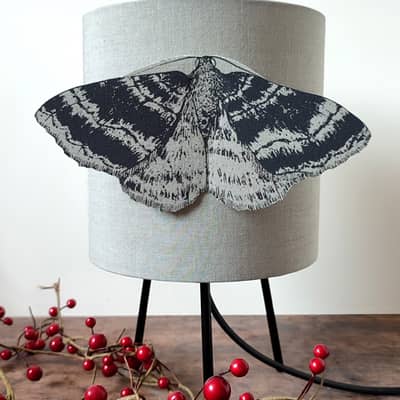 A small lamp with black metal tripod legs, and a large 3D moth on the front. The lamp sits on a wooden table with some artificial red berries on it.