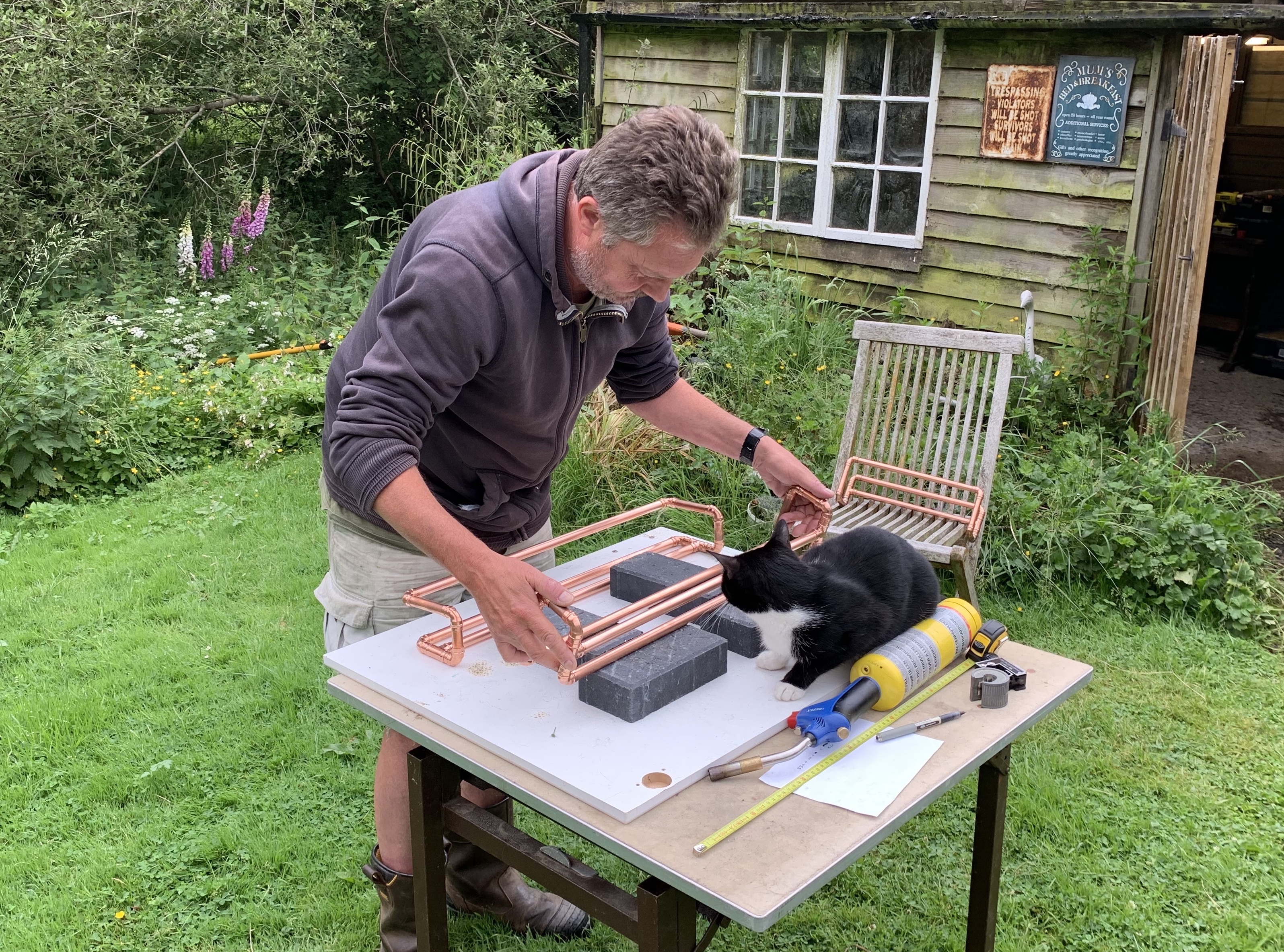 Working with the cats!