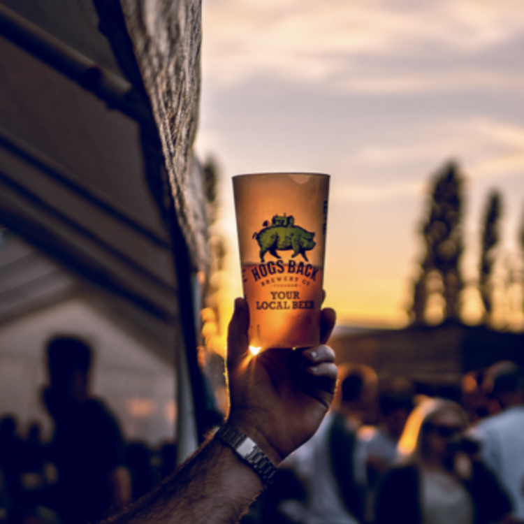 Hogs Back Brewery Beer