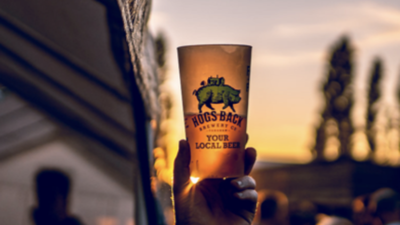 Hogs Back Brewery Beer