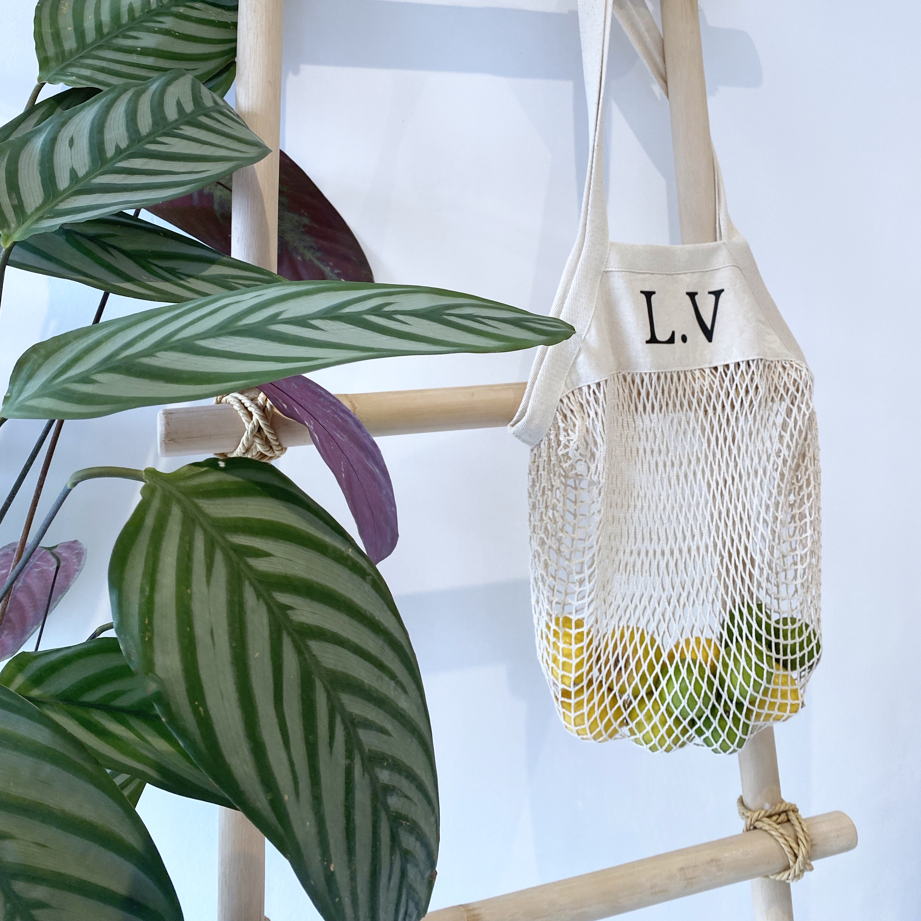 Personalised leather dog collar