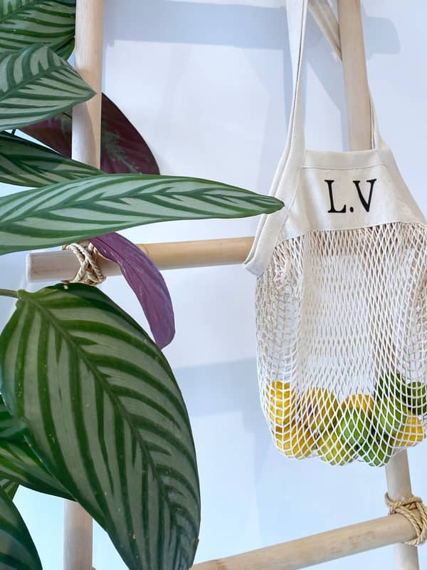 Personalised leather dog collar