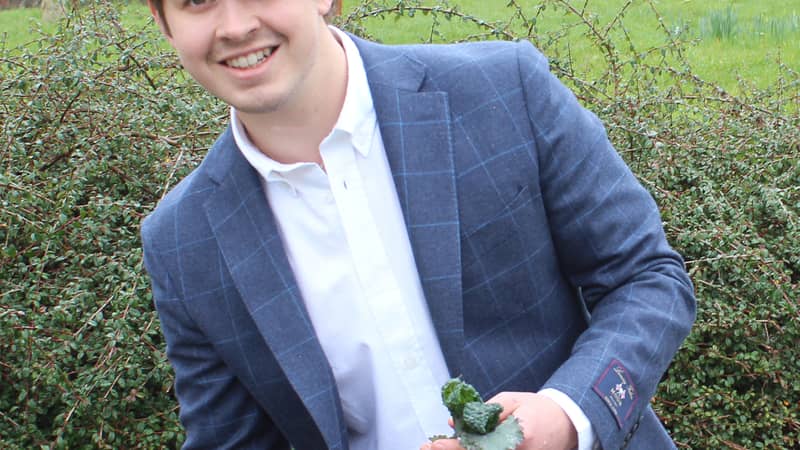 Picked carrots from our raised planter
