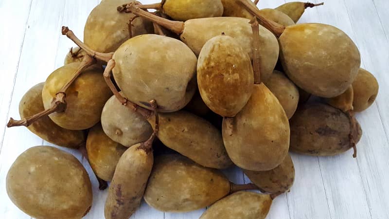 Bim's Kitchen baobab