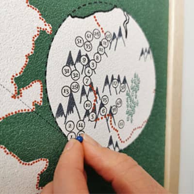 welsh tapestry cushion and lampshade