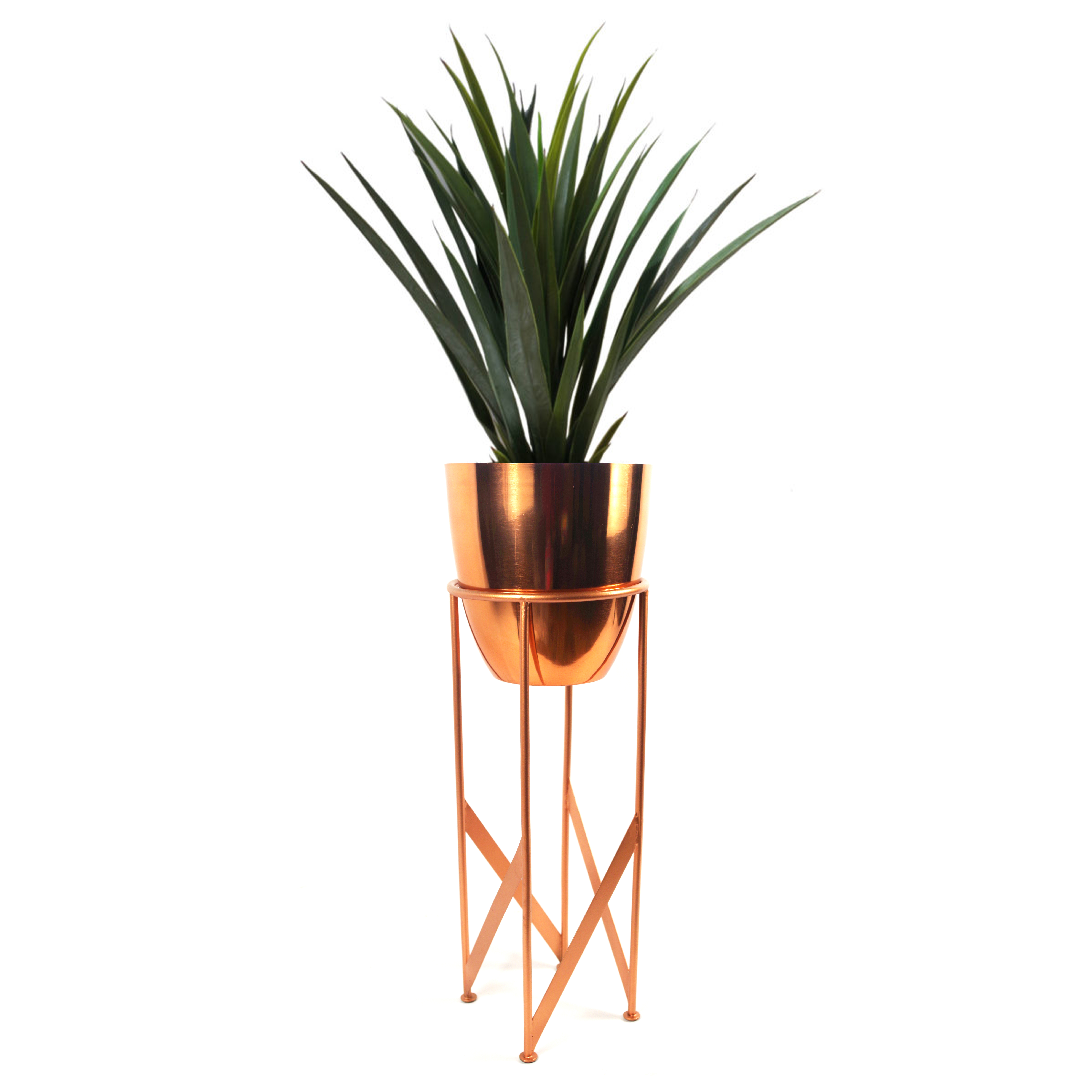 Artificial Plants & Planters
