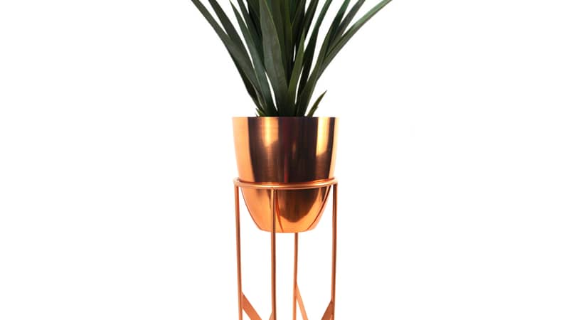 Artificial Plants & Planters