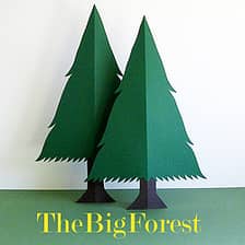 TheBigForest logo