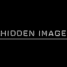 Hidden Image Direct logo