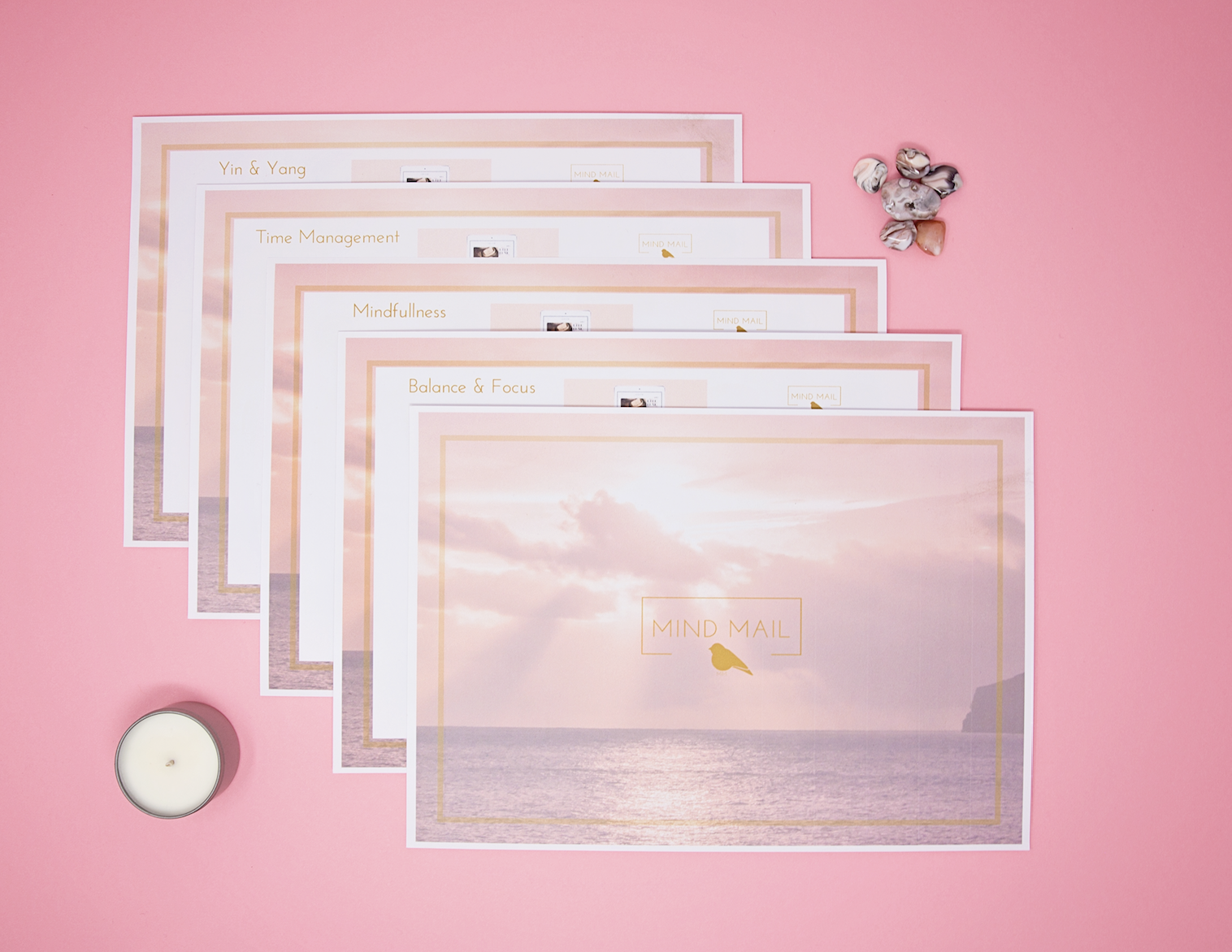 Balance & Focus products