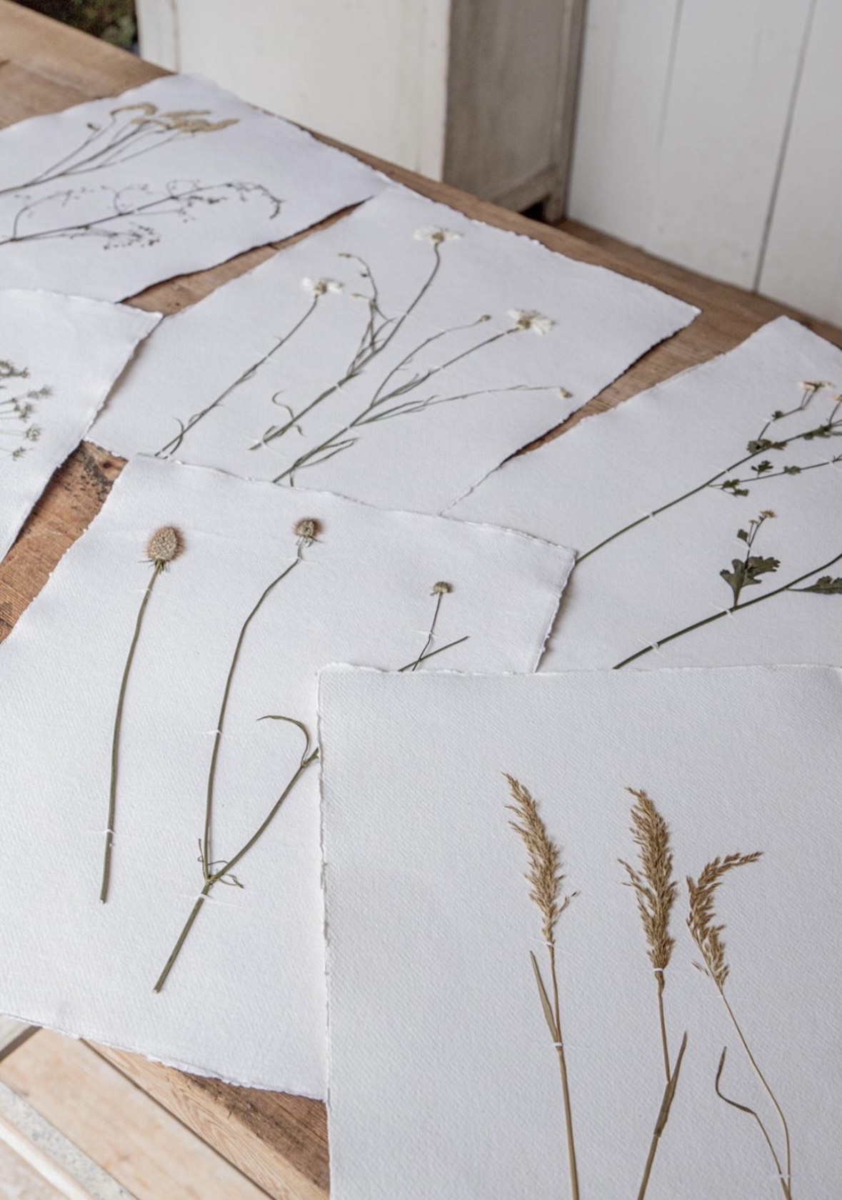 Wedding Flower Pressing, Wild Flower Prints, Wedding gifts, Wedding keepsakes, 