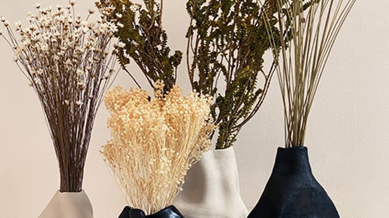 Tristi Ceramic Collection