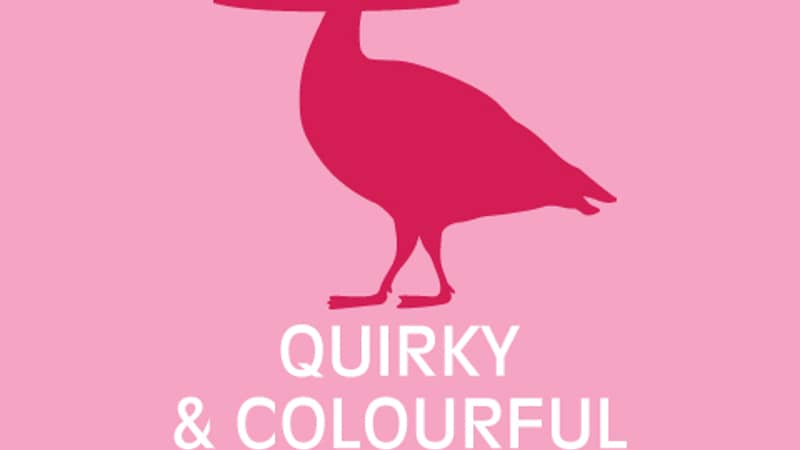 Duck Duck Goose - Quirky, Colourful Lampshades