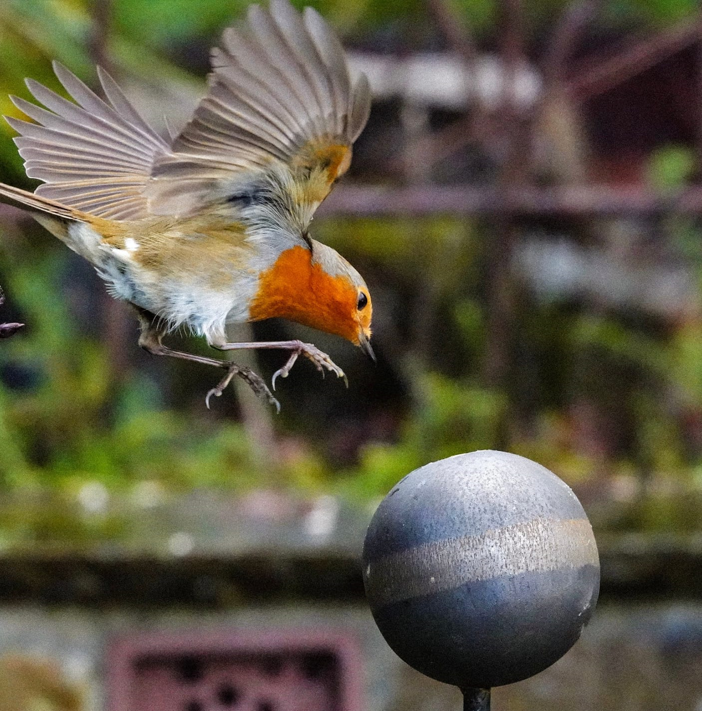 bird landing on garden sculpture