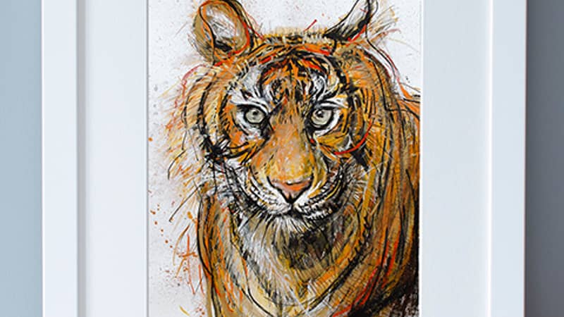 Wide Eyed Owl GrTiger Wildlife Art Print By Yellow Rose Design