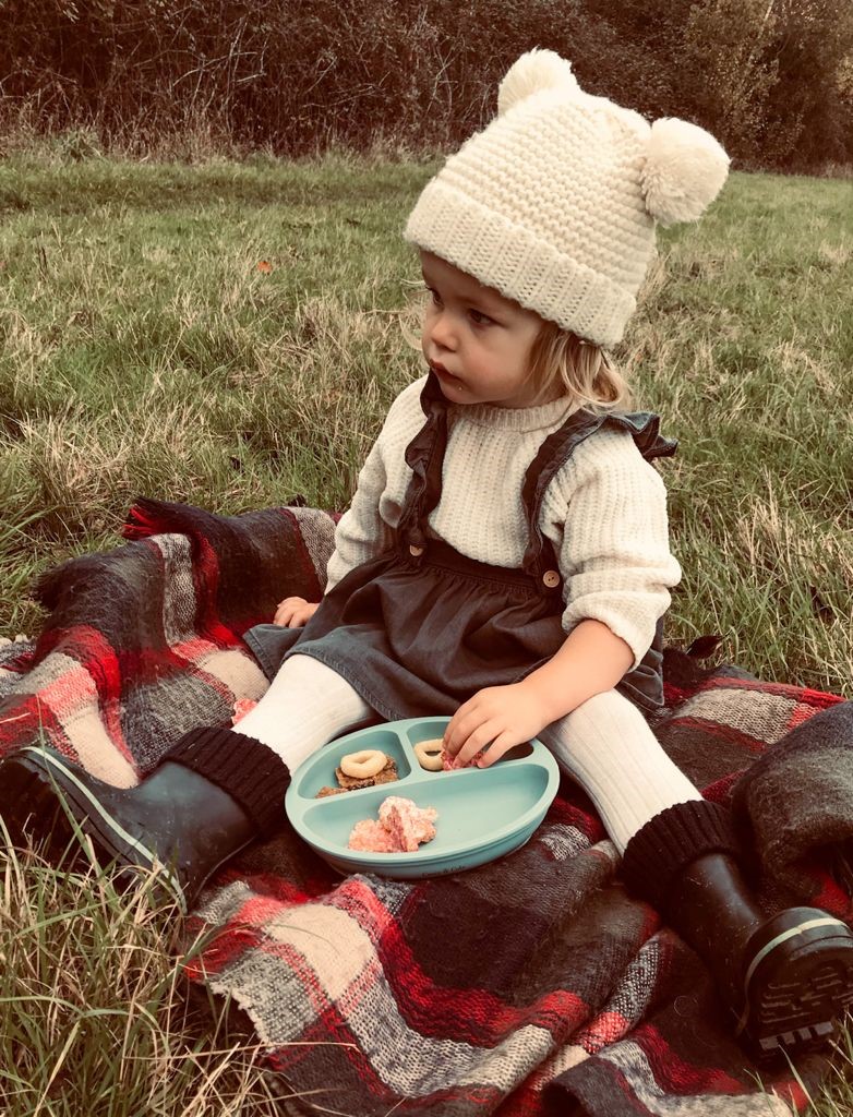 Casey & Cole silicone divided suction plate