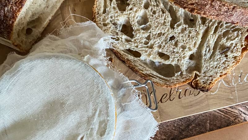 Sourdough starter, kit and bread