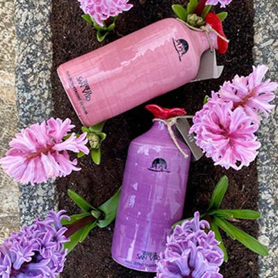 Hand made, hand painted pink and purple terracotta jars containing our organic extra virgin olive oil. Made in Puglia