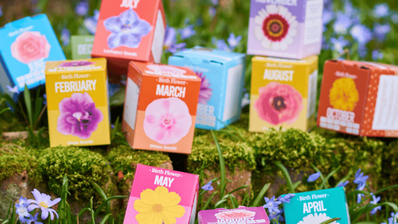 boxed flower seeds