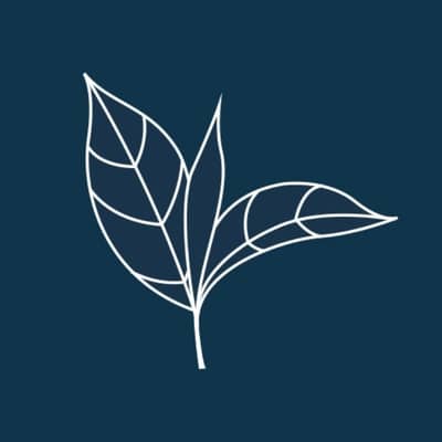 bean.bag.brew. tea subscription