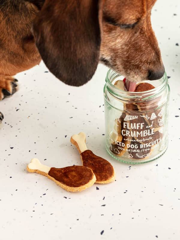 Dachshund with Fluff & Crumble Drumstick Iced Dog Biscuit Jar