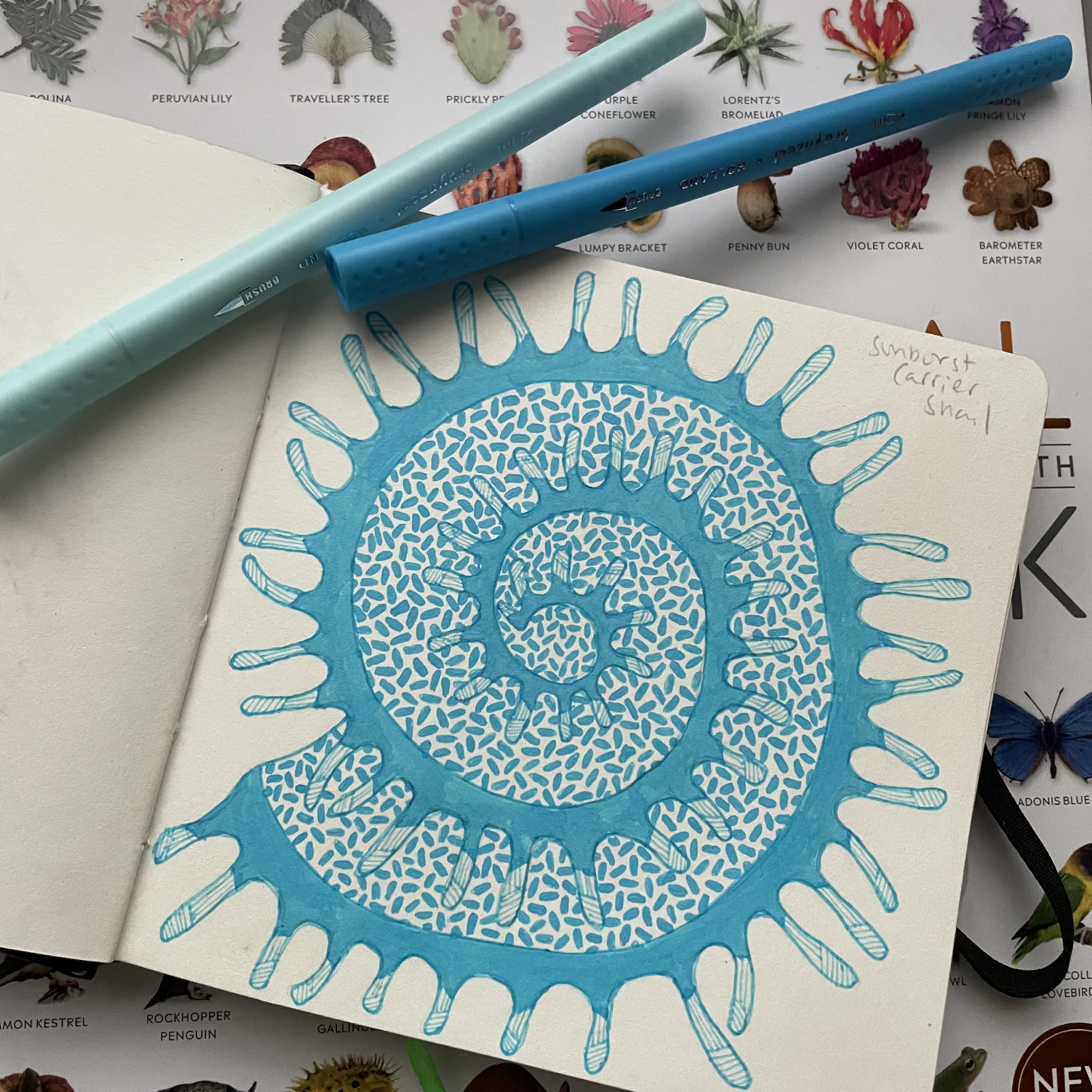 A photo of a hand-drawn illustration