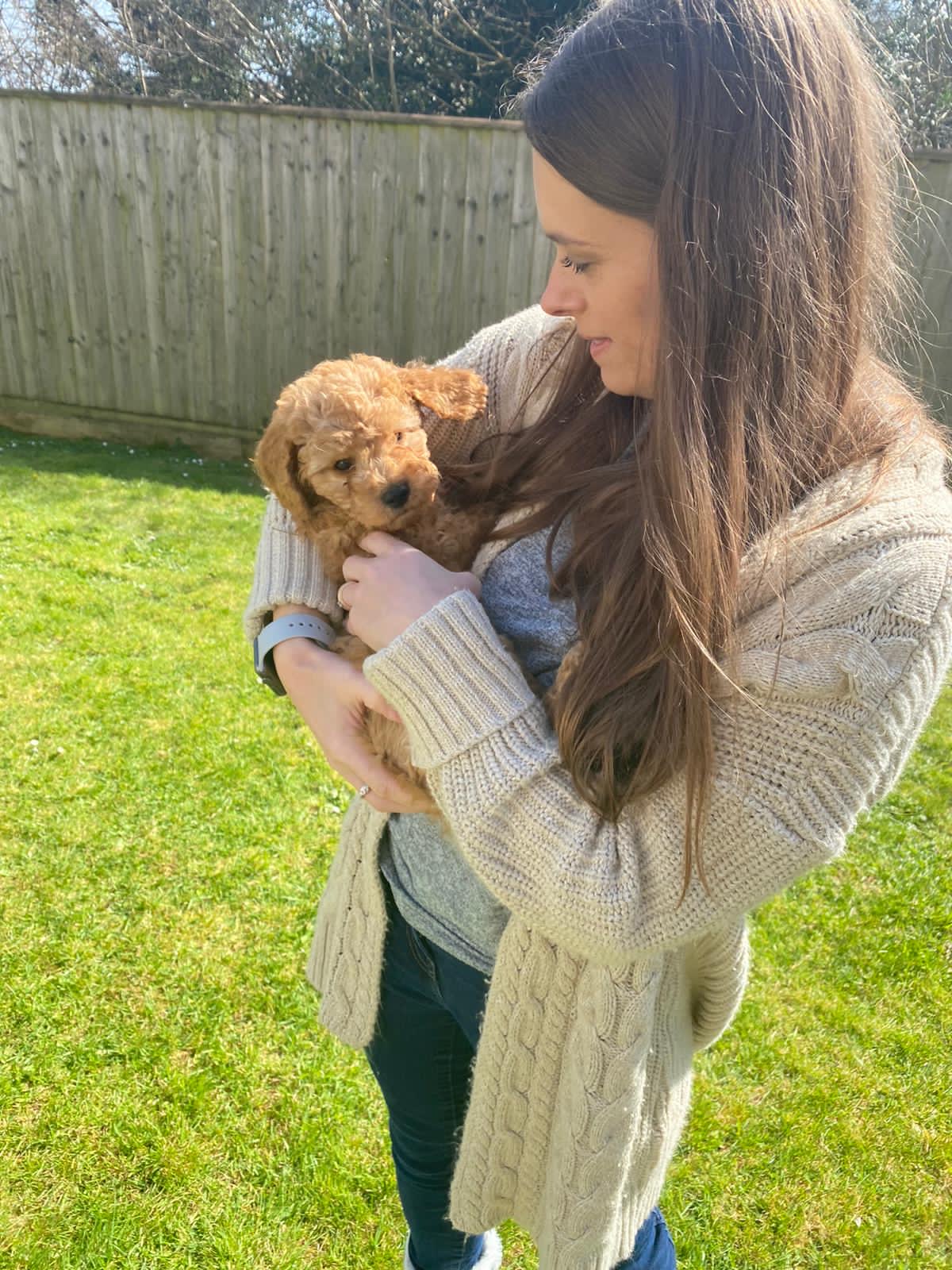 The day we got Rufus